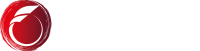 Felluz